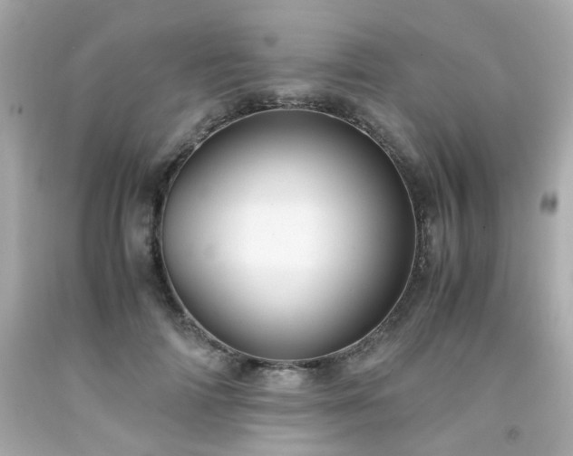 X0000091940698200709121619