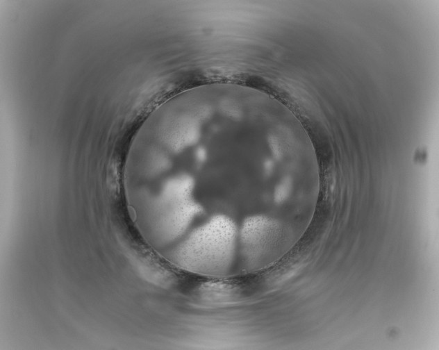 X0000091940699200709121619