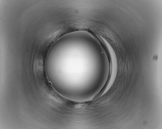 X0000091940700200709121619