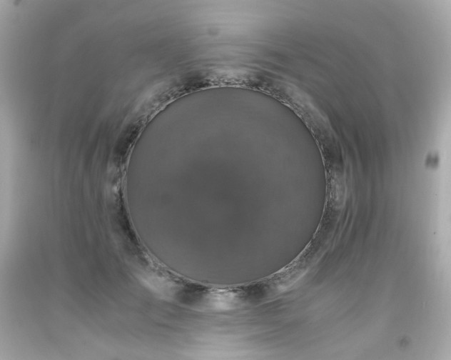 X0000091940701200709121619