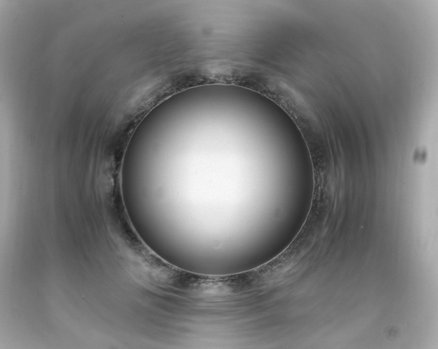 X0000091940702200709121619