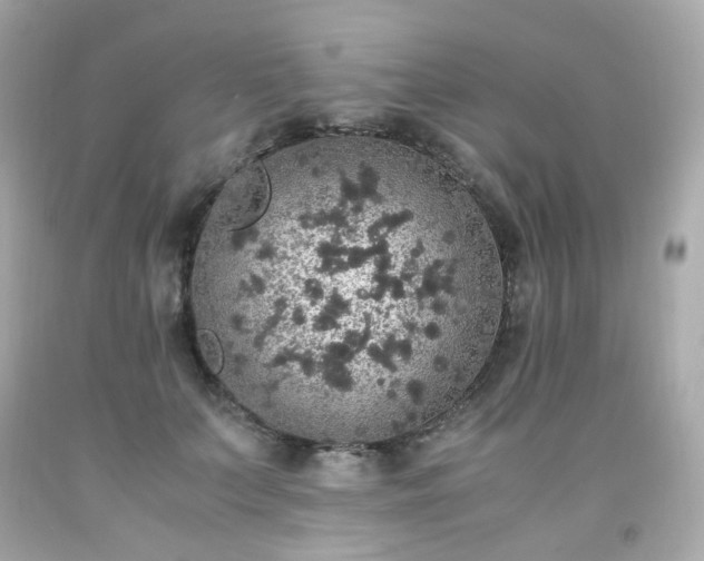 X0000091940703200709121619