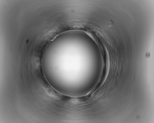 X0000091940704200709121619