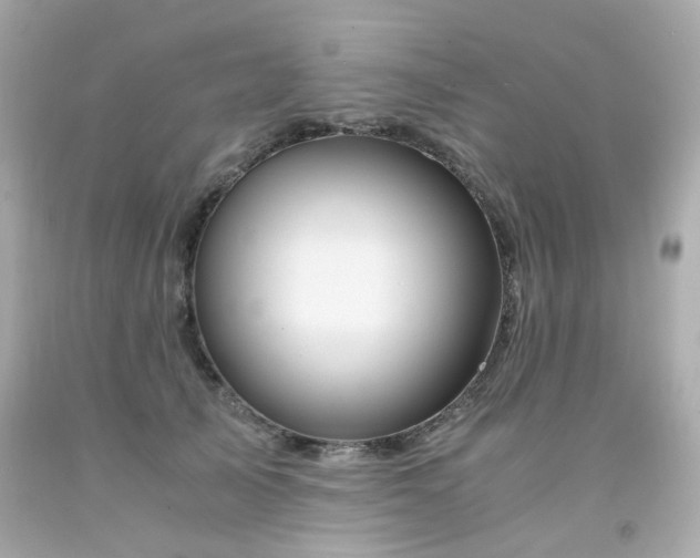 X0000091940705200709121619