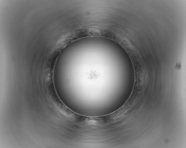 X0000091940706200709121619