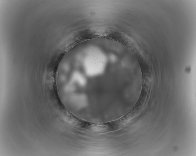 X0000091940707200709121619