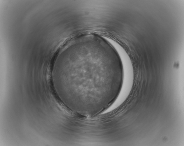 X0000091940708200709121619