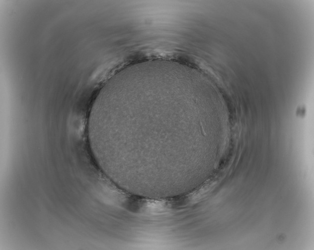 X0000091940709200709121619