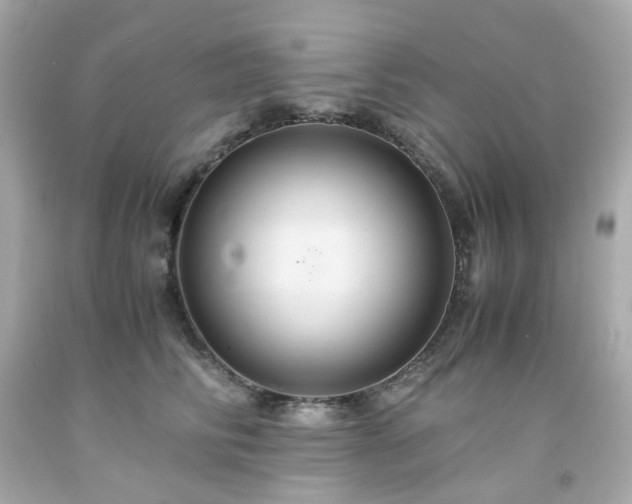 X0000091940710200709121619