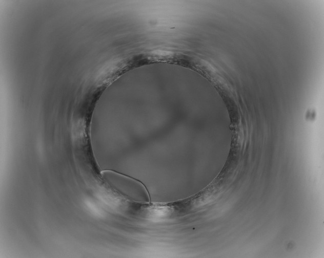 X0000091940711200709121619