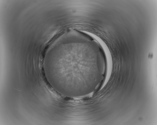 X0000091940712200709121619