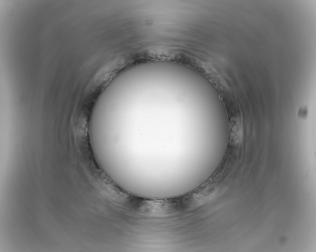 X0000091940713200709121619