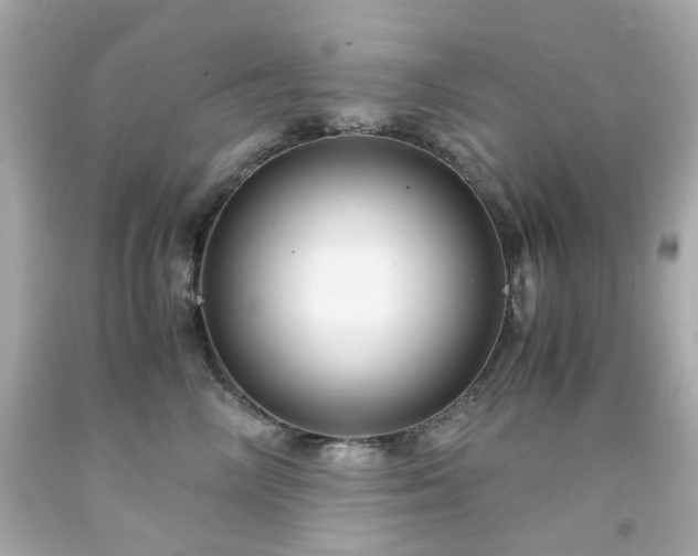 X0000091940714200709121619