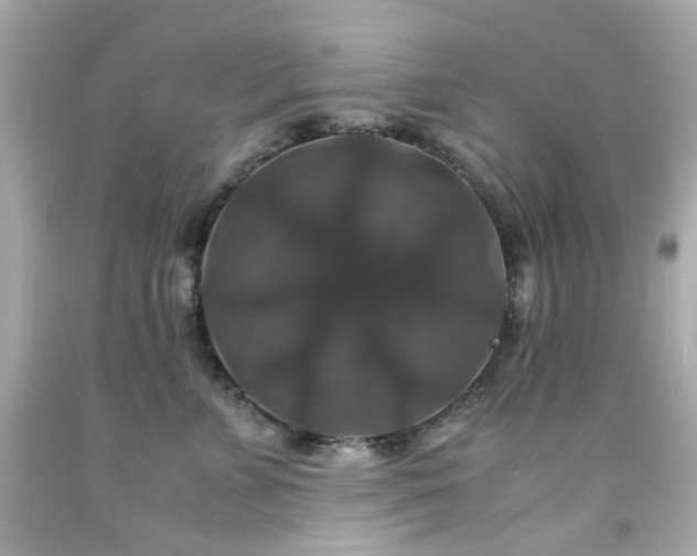 X0000091940715200709121619