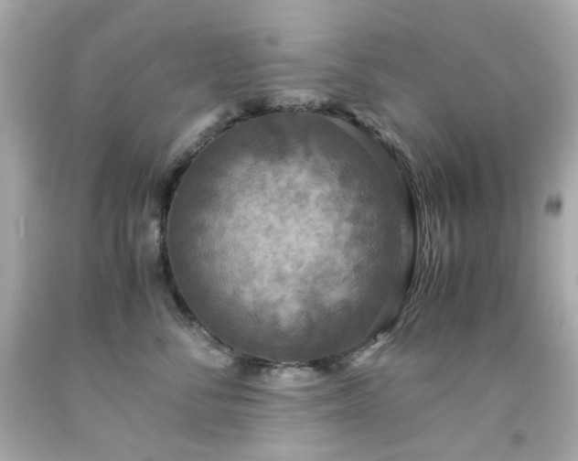 X0000091940716200709121619