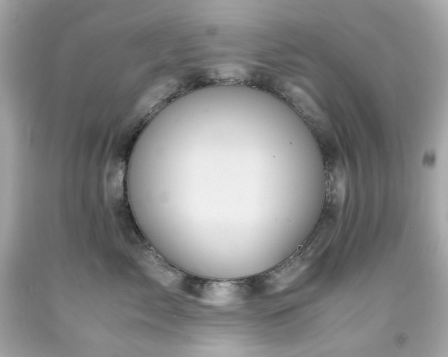 X0000091940717200709121619