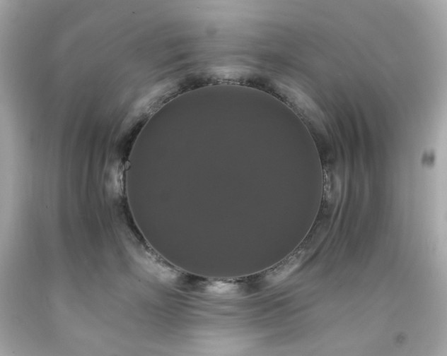 X0000091940718200709121619