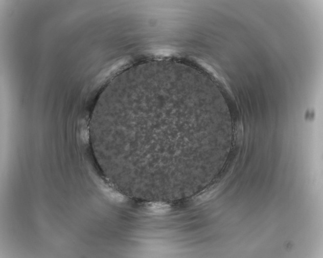 X0000091940719200709121619