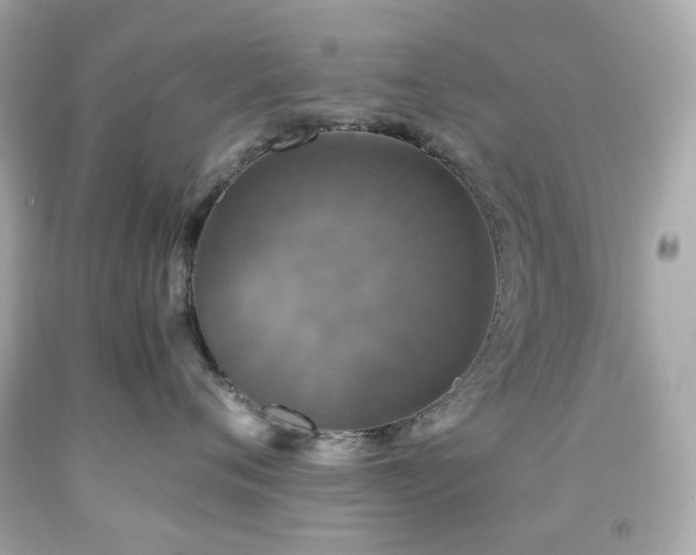 X0000091940720200709121619