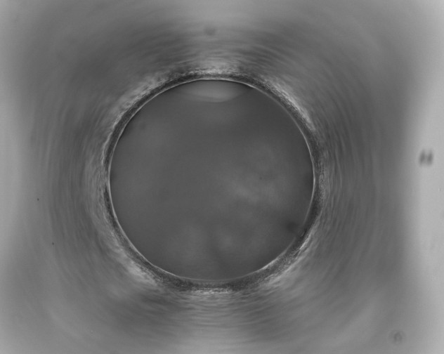 X0000091940721200709121618