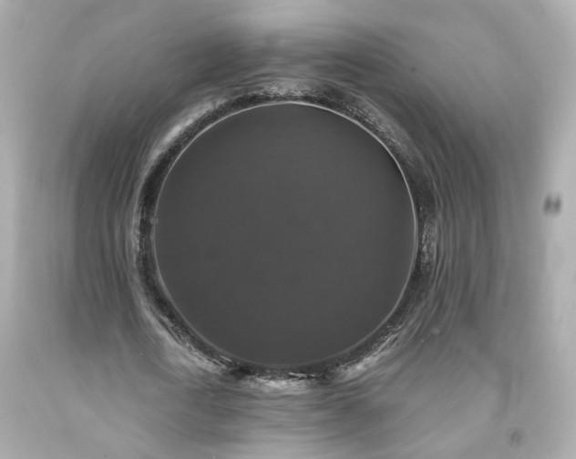 X0000091940722200709121618