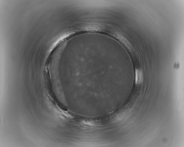 X0000091940723200709121618