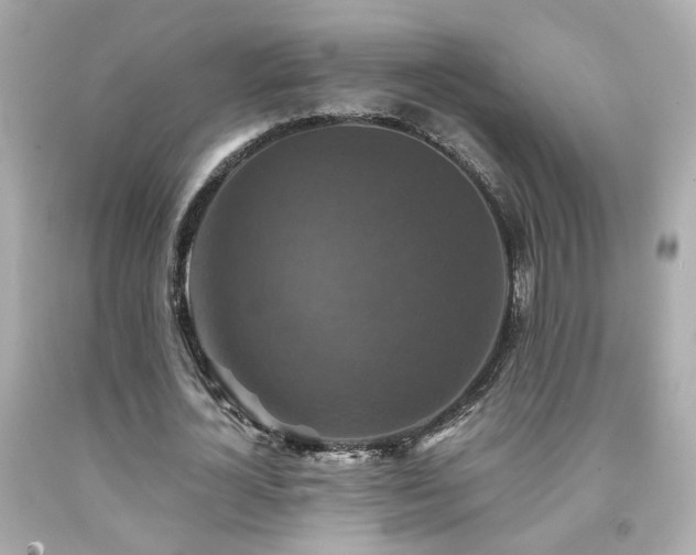 X0000091940724200709121618