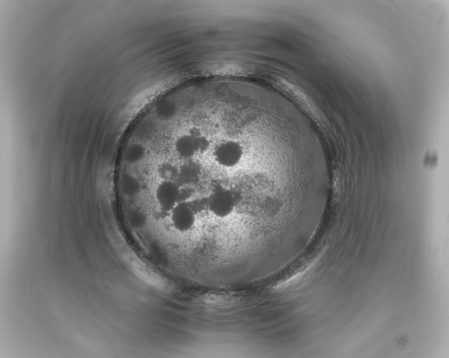 X0000091940725200709121618