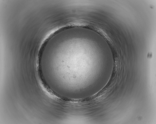 X0000091940726200709121618