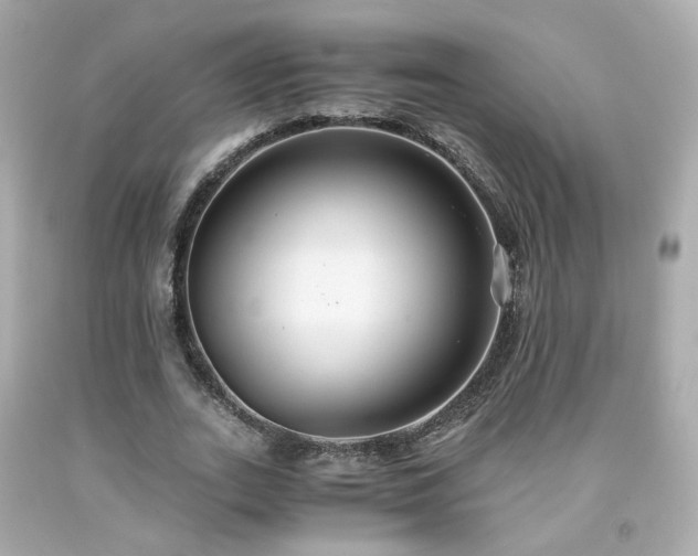 X0000091940727200709121618