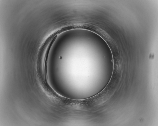 X0000091940728200709121618