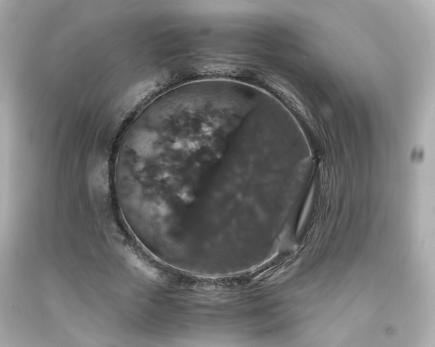 X0000091940729200709121618