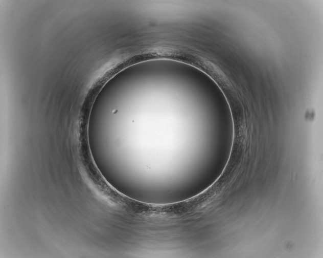 X0000091940730200709121618