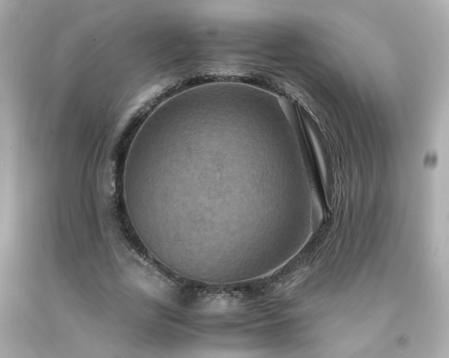 X0000091940731200709121618