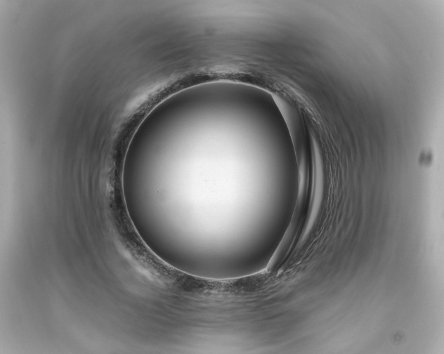 X0000091940732200709121618