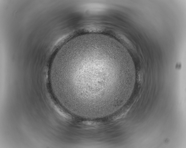 X0000091940733200709121618