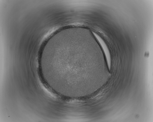 X0000091940734200709121618