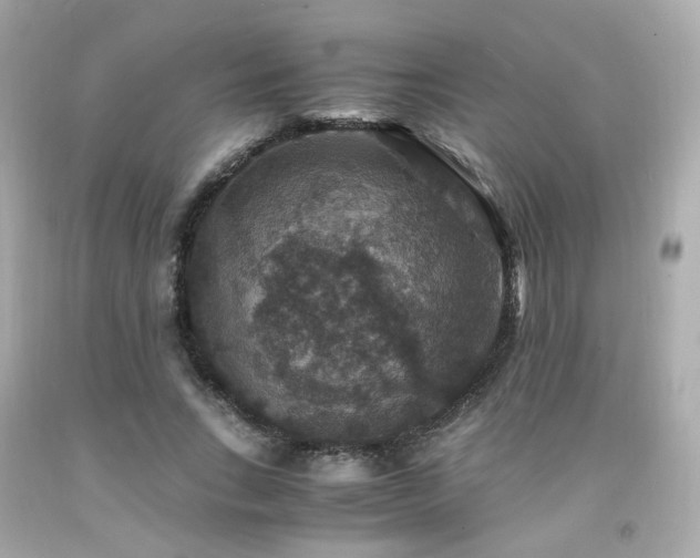 X0000091940735200709121618