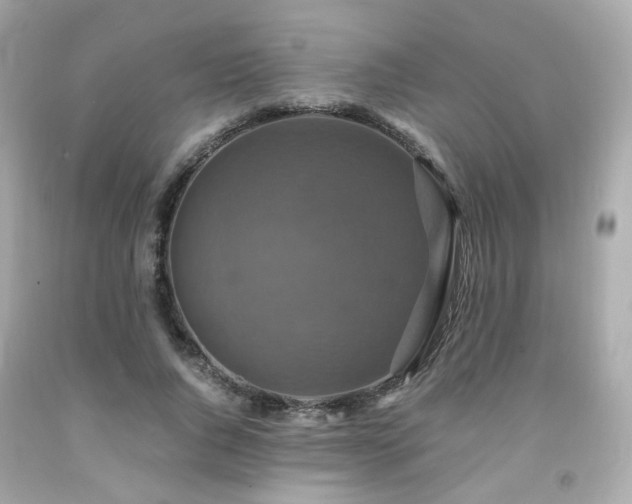 X0000091940736200709121618