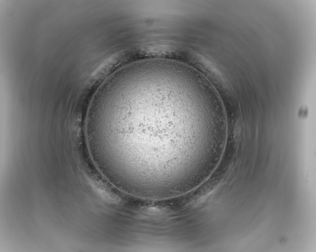 X0000091940737200709121618