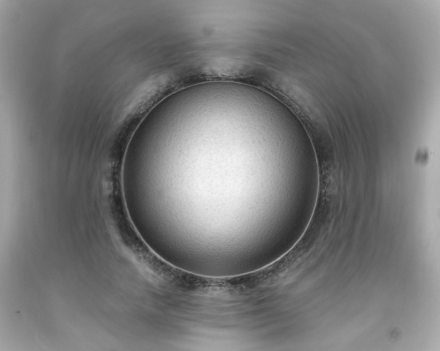 X0000091940738200709121618