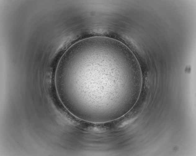 X0000091940739200709121618