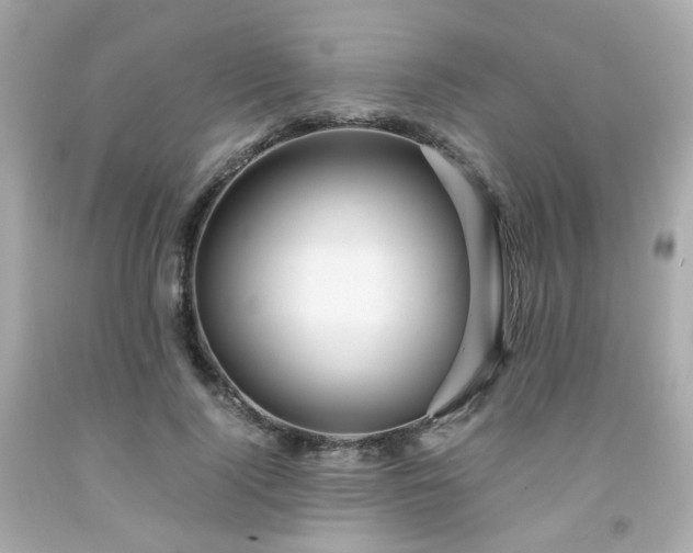 X0000091940740200709121619