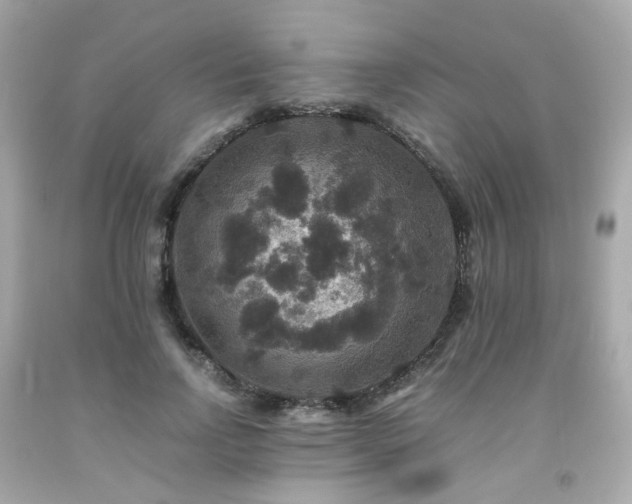 X0000091940742200709121619