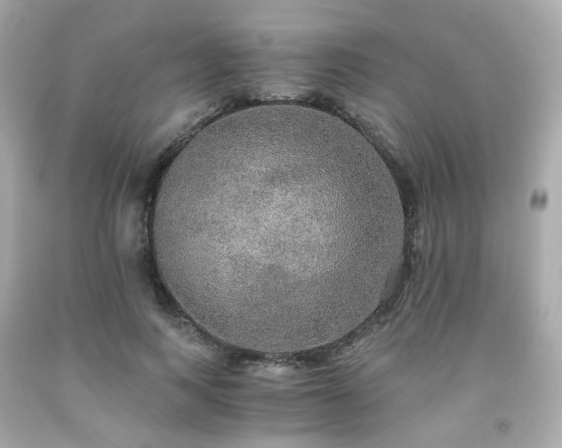 X0000091940743200709121619