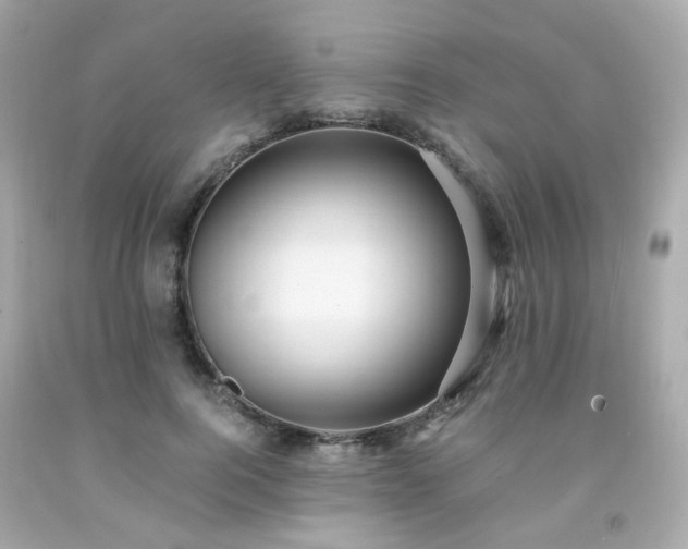 X0000091940744200709121619