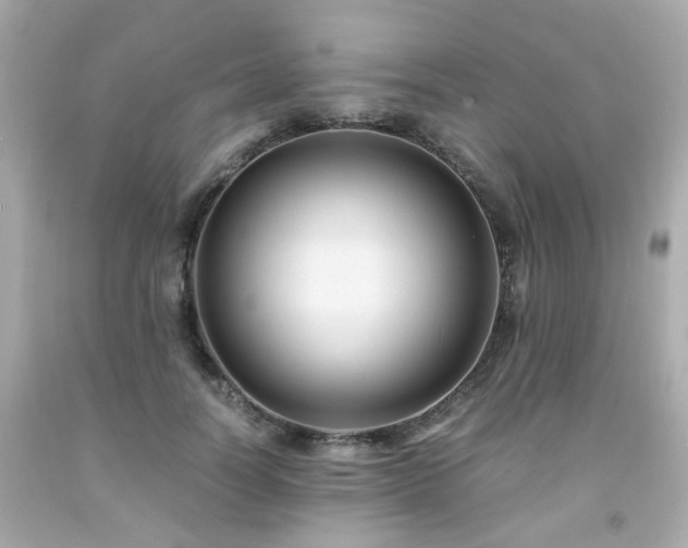 X0000091940746200709121619