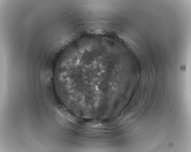 X0000091940747200709121619