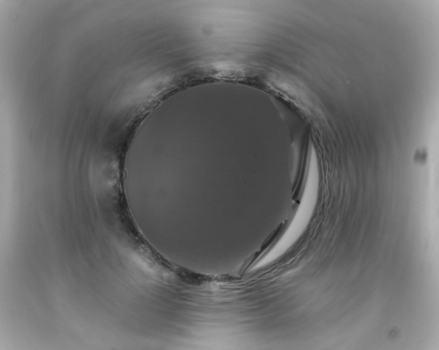 X0000091940748200709121619