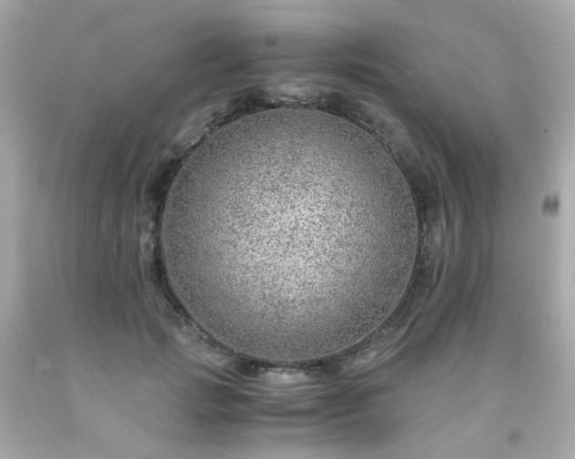 X0000091940749200709121619